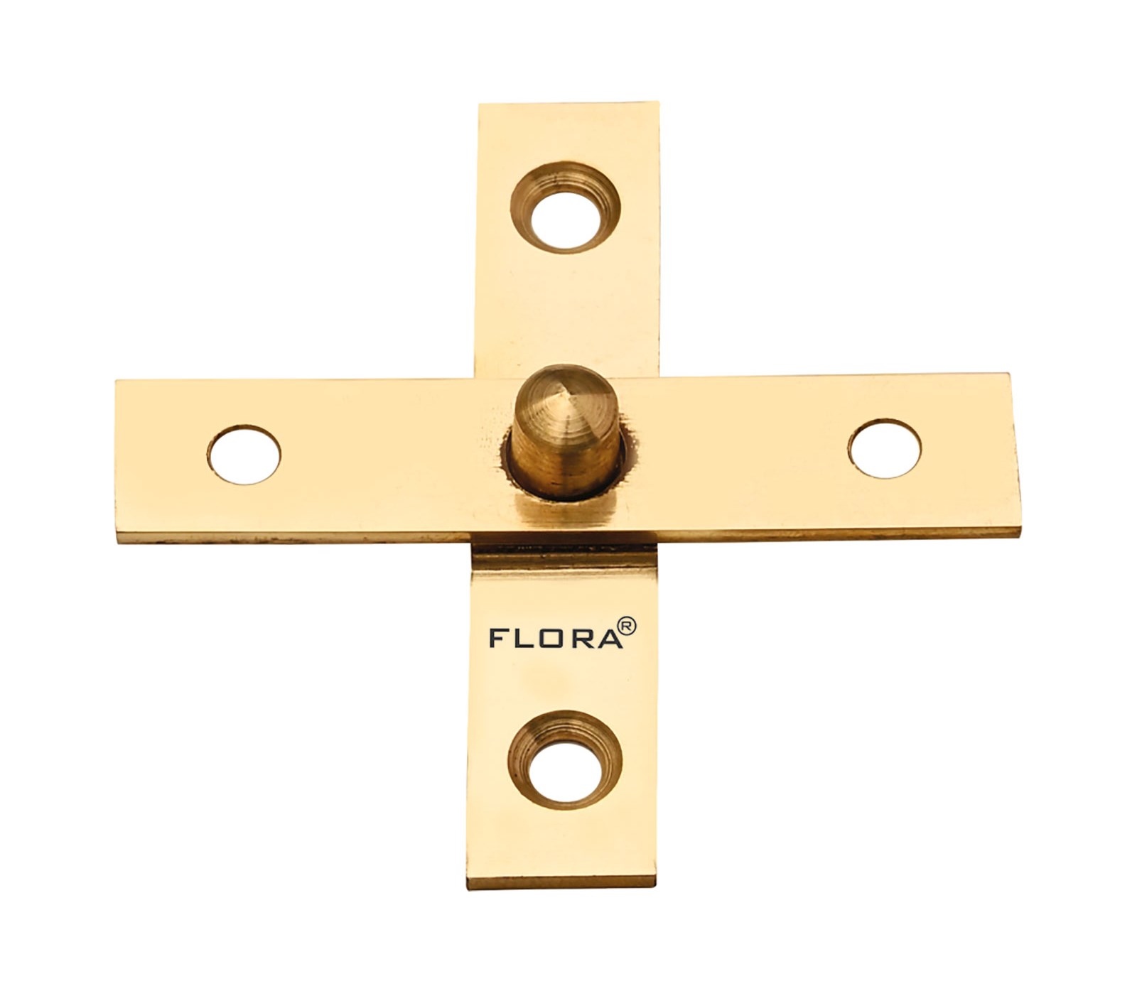 Brass Hinges